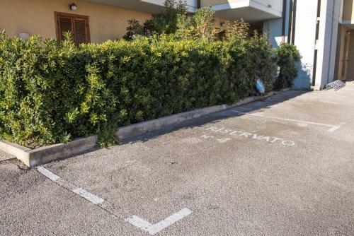 Apartamento M295 - Marcelli, Bilocale A 200 Metri Del Mare