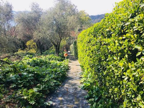 Apartamento La Casetta Delle Rose
