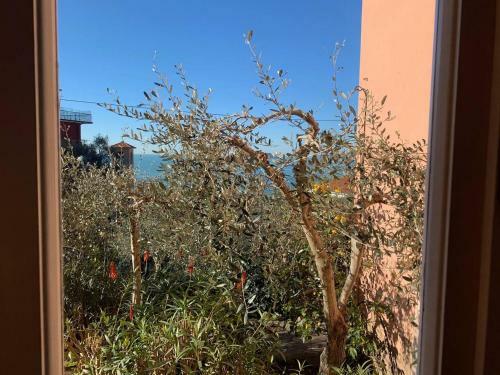 Apartamento Il Tino, Tellaro