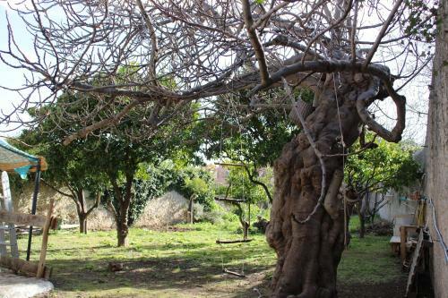 Hostal Giardinidivale