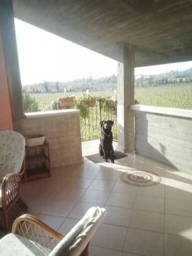 Apartamento Uno Sguardo Sulla Valpolicella