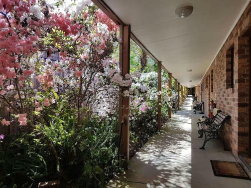 Eildon Parkview Motor Inn Room 4