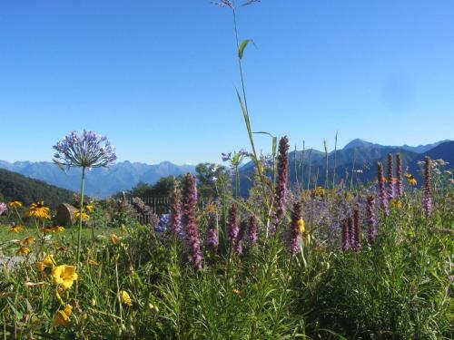 Apartamento Il Balcone Sul Lago