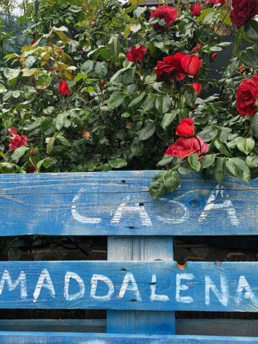 Apartamento Casa Maddalena