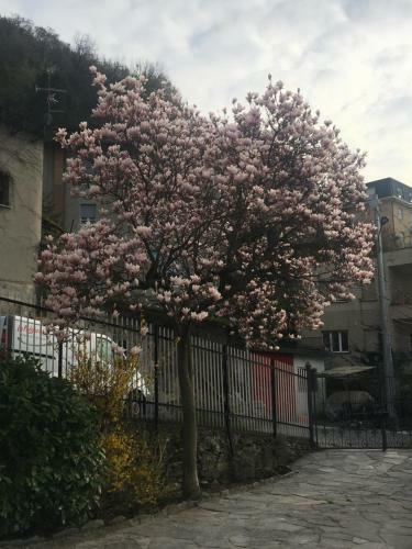 �l Lagh�e Blevio Apartments