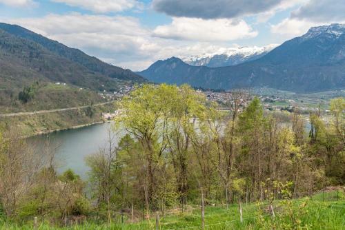 Apartamento Villa Alberta