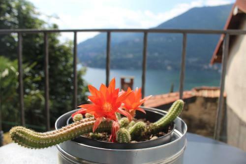 Apartamento Casale Sul Lago Di Como