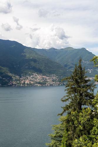 Apartamento La Terrazza Sul Lago Di Como