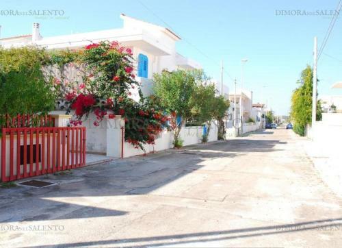 Bouganville