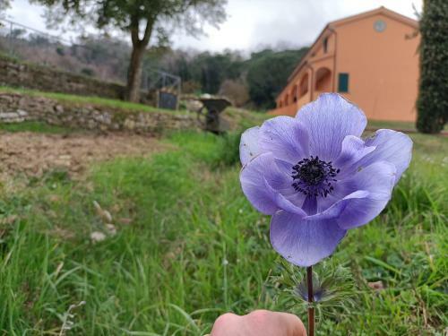 Agroturismo Agriturismo Regno Di Toscana
