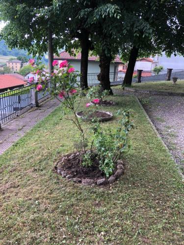 Villa Il Maiale Bianco B&B