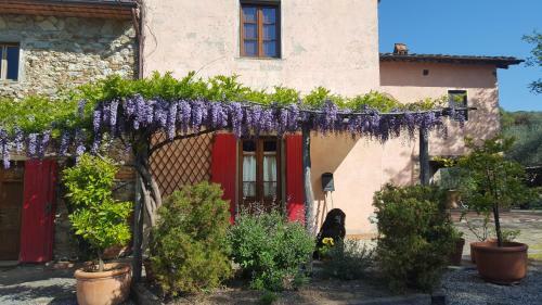 La Corte Del Falco