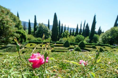 Apartamento Villa Betteloni Valpolicella Suites