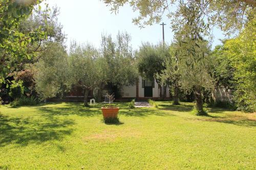 Agroturismo La Casa Dell'antiquario