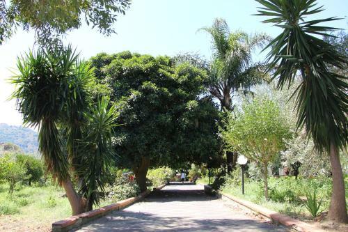 Agroturismo La Casa Dell'antiquario