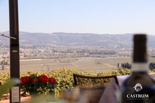 Hotel Castrum Relais
