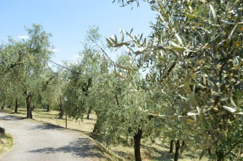 Bed & Breakfast Il Podere Di Tacito