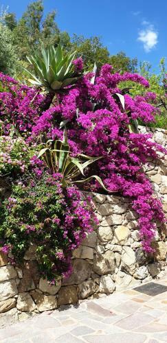 Apartamento Bungalow In Villa Antheus