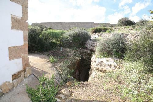 Regia Trazzera