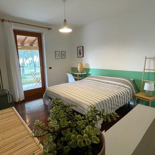 Hostal Botanea Guest House