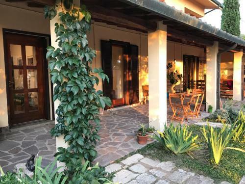 Hostal Botanea Guest House