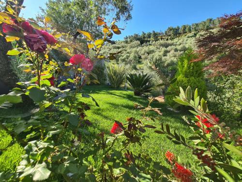 The Garden