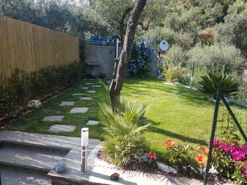 The Garden