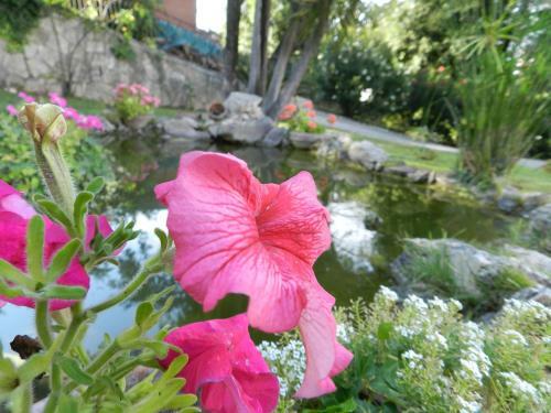 B&B Le Tre Civette
