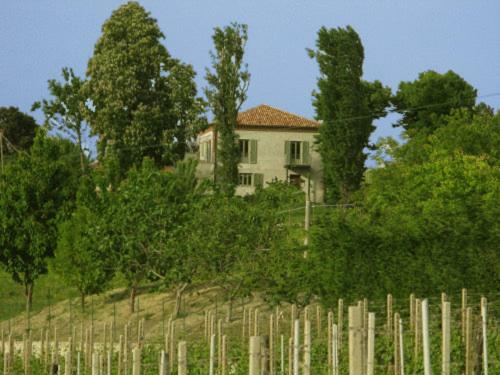 Agroturismo Casa Vacanze San Stefanetto
