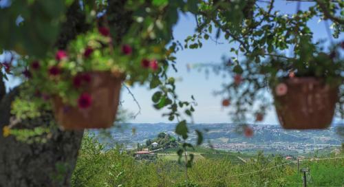 Agroturismo Casa Vacanze San Stefanetto