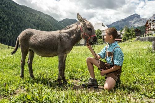 Apartamento Natur Luch Sossach