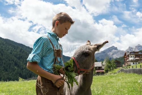 Apartamento Natur Luch Sossach