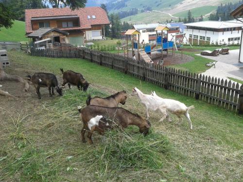 Apartamento Ciasa Odlina