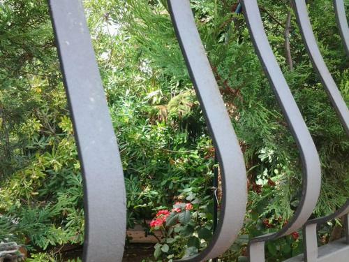 Villa 4 Camere 5 Bagni 2 Passi Dal Mare