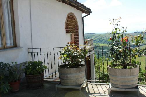 Apartamento C� Ed Michel