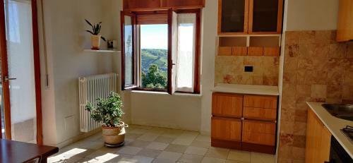 Apartamento C� Ed Michel