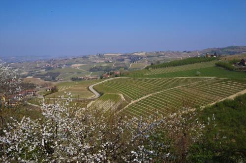 Agroturismo Il Caprifoglio