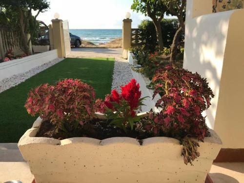 Il Giglio Sul Mare - Beach House