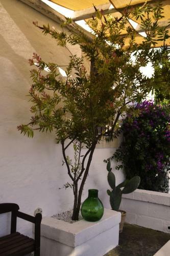 Hostal Masseria 77
