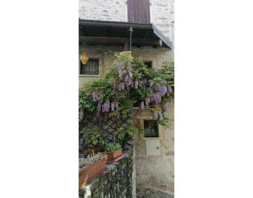 Apartamento Relax Cottage In Vercana