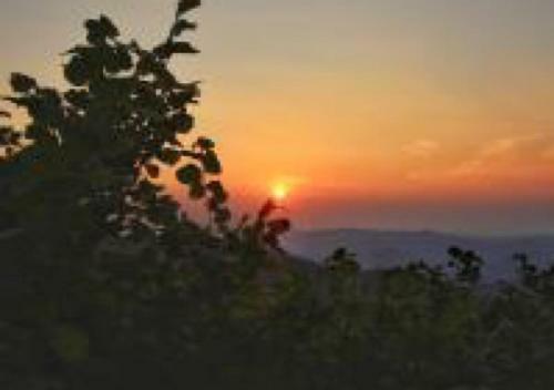 Apartamento Residenza Primavera Lago Maggiore Colazza