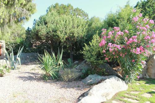 Villa Adele, Con Piscina A 700 Mt Dal Mare