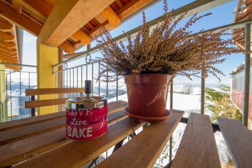 Albergue Agriostello Delle Langhe