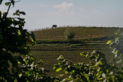 Albergue Agriostello Delle Langhe