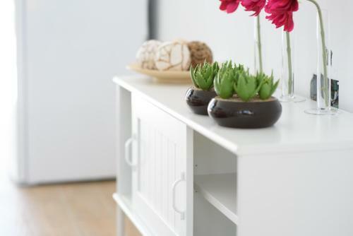Center City Beach Apartment
