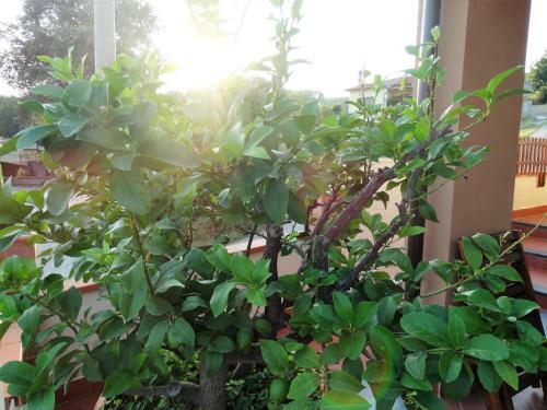 Hostal L'angolo Della Felicit�