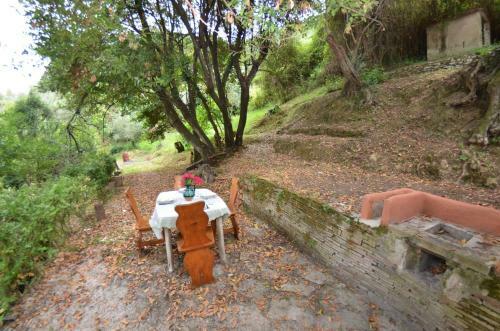 Collina Lagomare