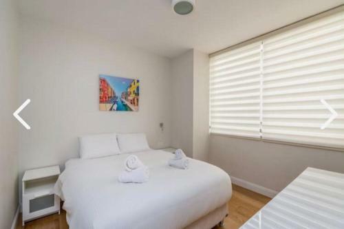 Apartamento Spinoza/ben Gurion Blv/2bdms/2bath/balcony/great