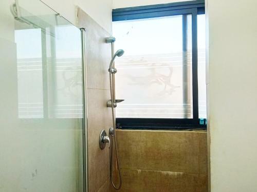 Hostal Bloomfield Guesthouse