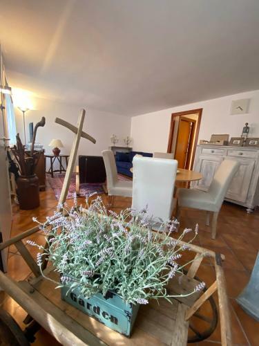 Bed & Breakfast La Casetta Dalla Porta Rossa